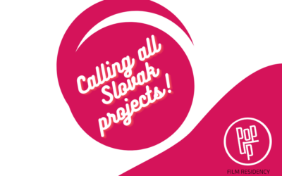 Slovak Pop Up Calls for Projects!