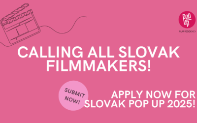 CALL FOR APPLICATIONS: Slovak Pop Up 2025 is now open for submissions!